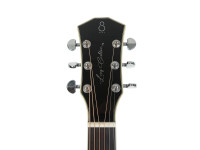Sire Larry Carlton A4-G VS Sire Larry Carlton A4-G VS
